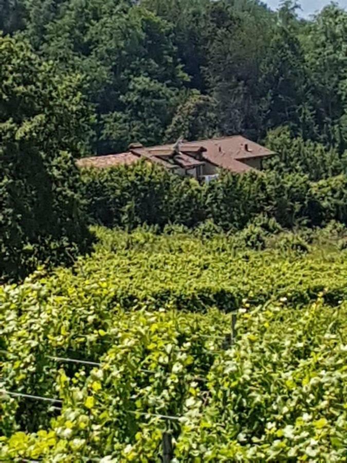 La Casa Di Roby-1 Appartamento La Morra Con Piscina Kültér fotó